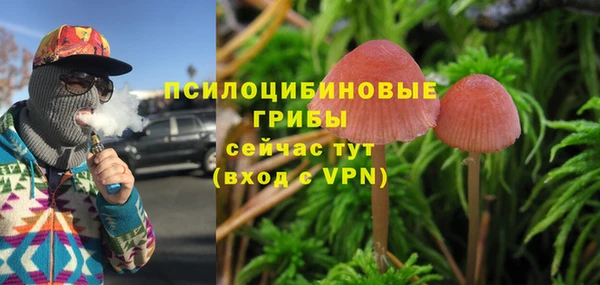 бутират Богданович