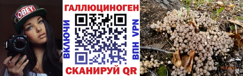 Галлюциногенные грибы мухоморы  закладка  Белгород 